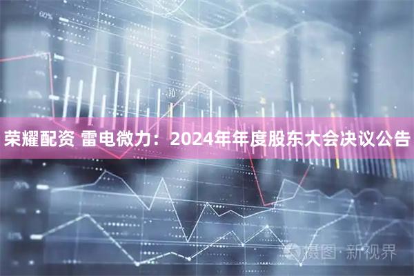荣耀配资 雷电微力：2024年年度股东大会决议公告