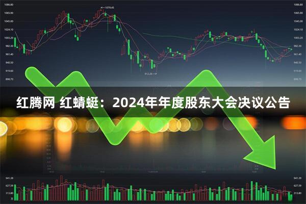 红腾网 红蜻蜓：2024年年度股东大会决议公告