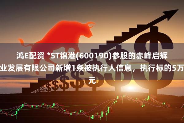 鸿E配资 *ST锦港(600190)参股的赤峰启辉铝业发展有限公司新增1条被执行人信息，执行标的5万元