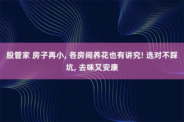 股管家 房子再小, 各房间养花也有讲究! 选对不踩坑, 去味又安康